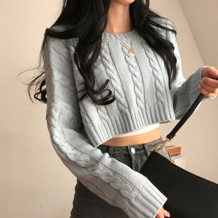 Small Cropped Long Sleeve Crew Neck Pullover Sweater