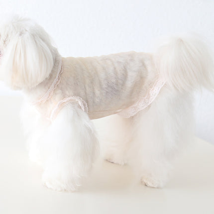 Lace Yarn Vest Anti-lint Sexy Dog Clothes Pet Cat