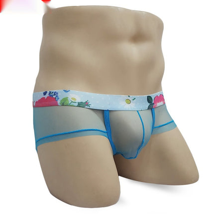 Men's Mesh Lightweight See-through Underwear Low Waist Transparent Sexy Briefs
