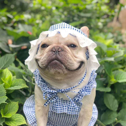 Creative Plaid Dog Dress Set