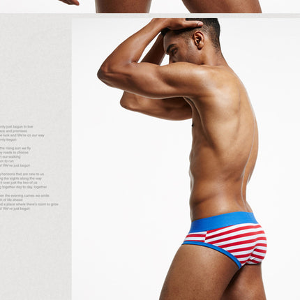 Men's Striped Combed Cotton Briefs
