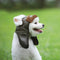 Pet Headwear