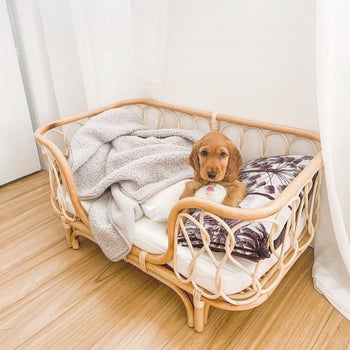 Pet Beds