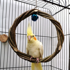 Collection image for: Bird Supplies