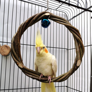Bird Supplies