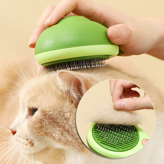 Pet Groomings