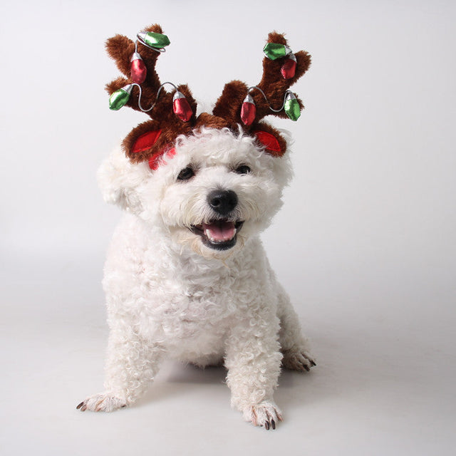Pet Functional Clothings