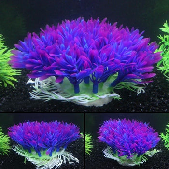 Fish Tank Decorations