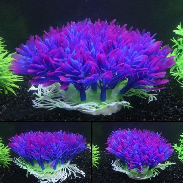 Fish Tank Decorations