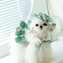 Collection image for: Pet Apparels