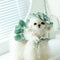 Pet Apparels