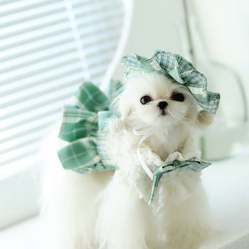 Pet Apparels