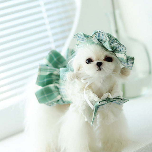 Pet Apparels
