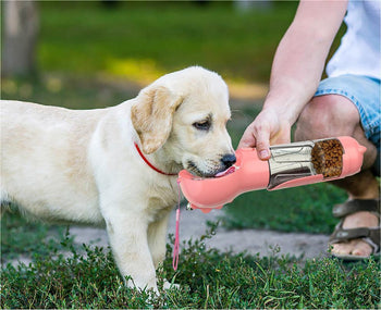 Pet Drinking