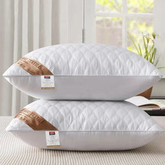 Collection image for: Pillows
