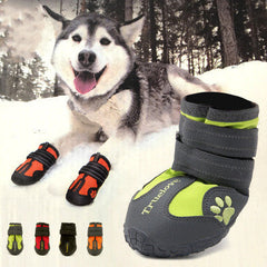 Collection image for: Pet Shoes & Socks