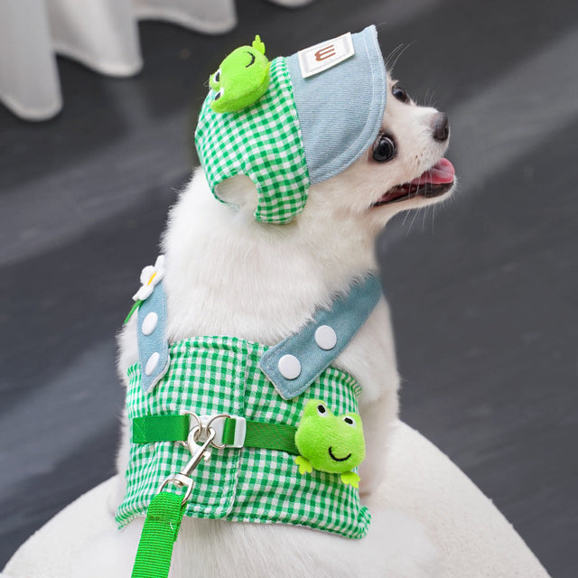 Pet  Accessories