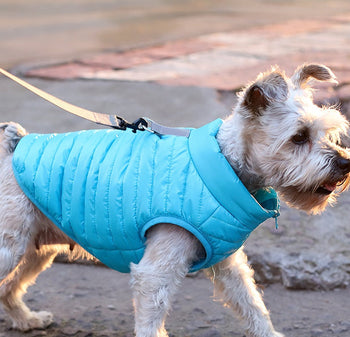 Pet Jackets