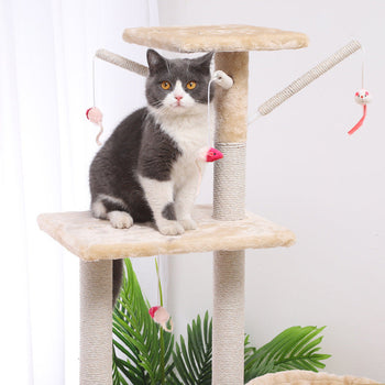 Pet Furniture