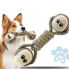 Collection image for: Pet Chase Toys