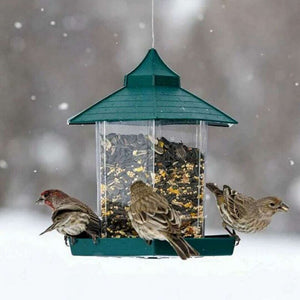 Bird Feeders