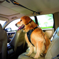 Collection image for: Pet Seat Belts