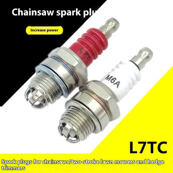 Spark Plugs & Ignition System