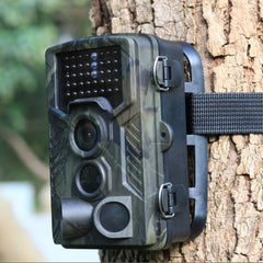 Collection image for: Camcorders