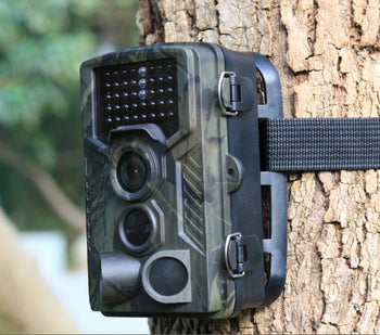 Camcorders