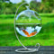 Fish & Aquatic