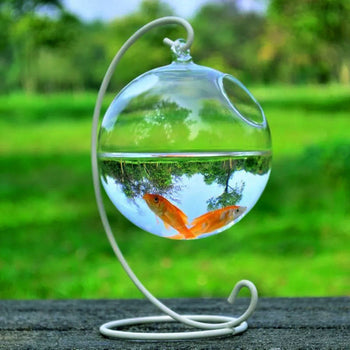 Fish & Aquatic