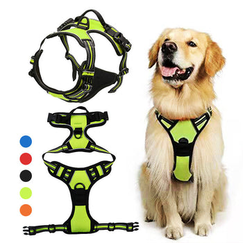 Pet Supplies