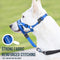 Pet Muzzles