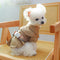 Pet Dresses