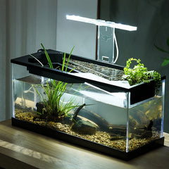 Collection image for: Fish Tanks