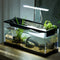 Fish Tanks