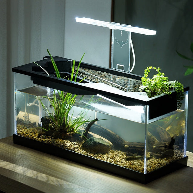 Fish Tanks