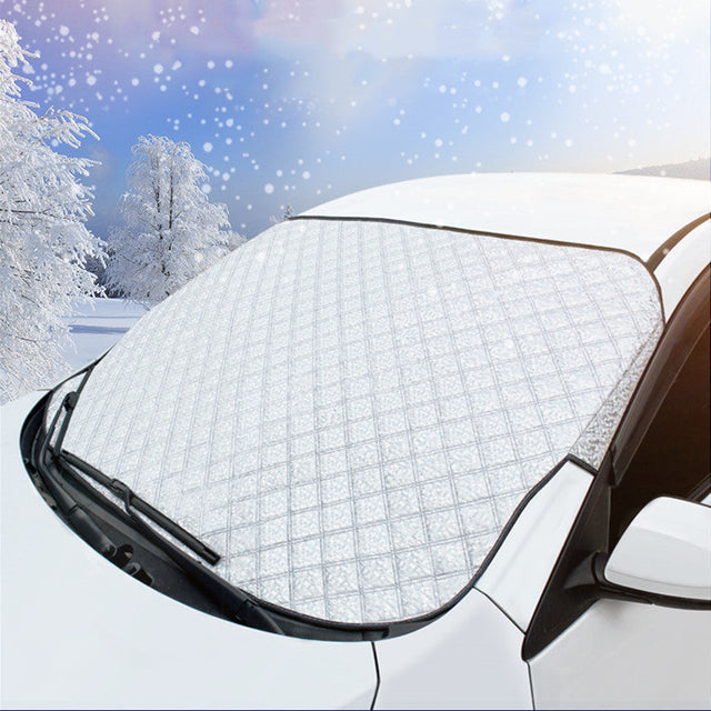Windshield Wipers & Windows