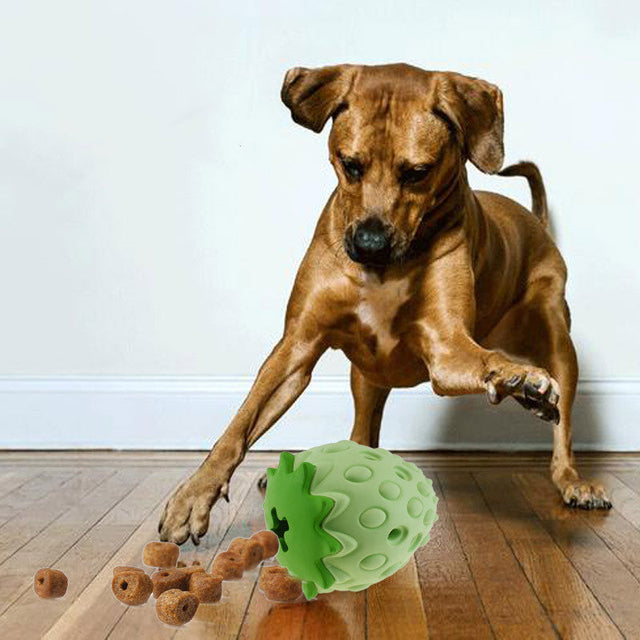 Pet Toys