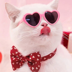 Collection image for: Pet Glasses