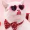 Pet Glasses