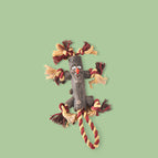 Strange face branch