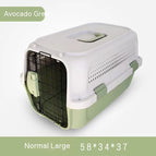 Green / Large Ordinary