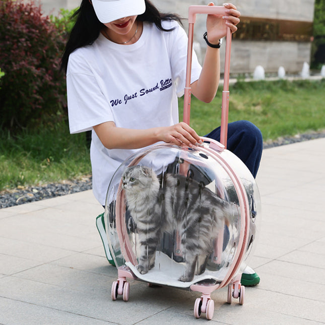 Draagbare Deursigtige Trollie-Katdraer