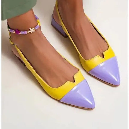 Spring 2024 Summer New Women's Shoes Pointed Flat Bottom Pumps Color Matching Low Heel Shoes