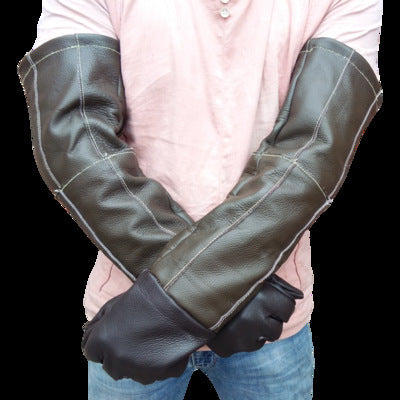 Simple Anti-bite And Scratch Pet Gloves