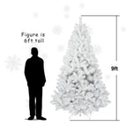 9ft