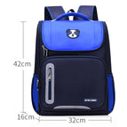 Blue / Large