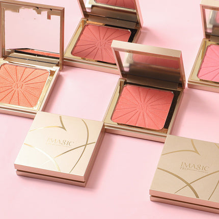 Monochroom Bloos Hoogglans Mat Kragtige Pêrelglans Grimering
