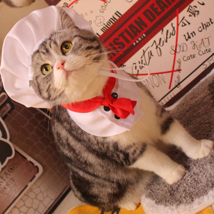 Hat Scarf Pet Changing Outfit